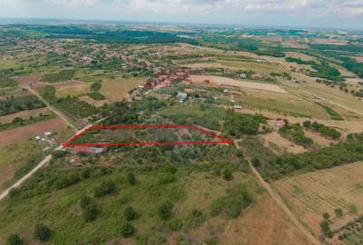 De vanzare Teren 3995mp intravilan Saldabagiu de Munte - 3