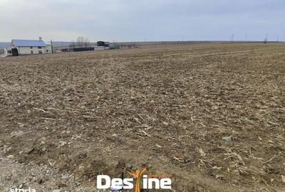 Teren de 8100 mp, în Dumești - 1