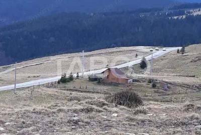 De vanzare teren extravilan 3854 mp acces auto Paltinis Sibiu - 2