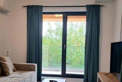 Viilor novum carol - 3