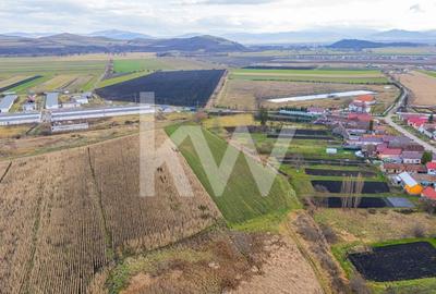 Teren 10000 mp in Extravilan, Bod, Brasov- COMISION 0% - 12