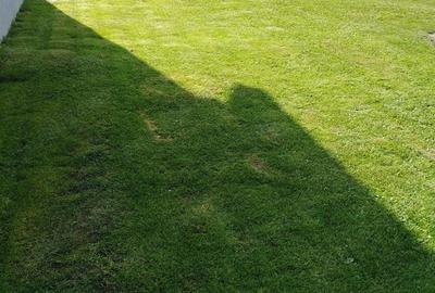Casă cu Teren 690 Mp în Colonia Mică - 6