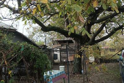 Casă cu 3 camere cu Teren 2493 Mp în Pădina - 2