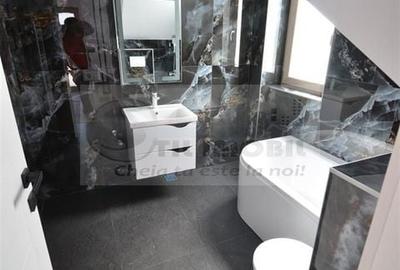 Vila in modul insiruit - Popas Pacurari - 6