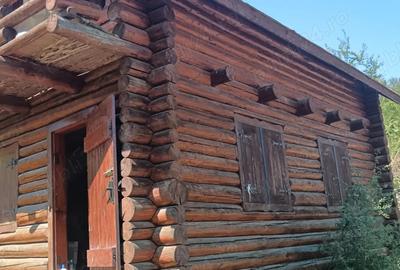 Casa din lemn rotund tratat 60mp pentru relocare - 4