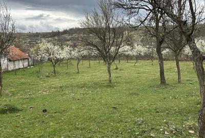 Spațiu comercial, în Boș - 1