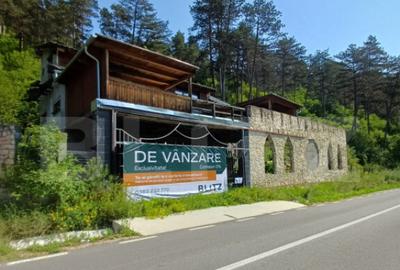 Oportunitate!!! Casa individuala la rosu, 247 mp, Teren 5000 - 5