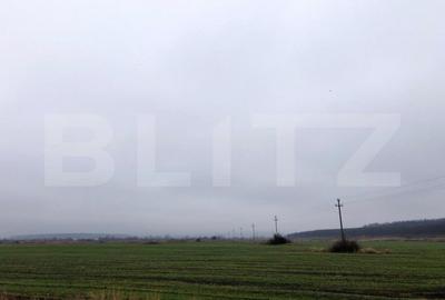 Teren de 41000 mp, în Ișalnița - 5