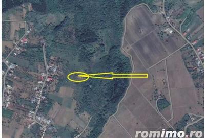 Teren extravilan livada cota parte 1/2 Candesti ID: R1965236 - 3