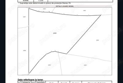 Casă cu 4 camere cu Teren 2650 Mp în Țârdenii Mari - 6