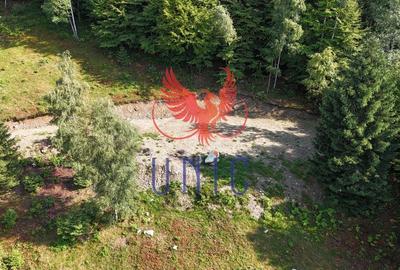 18000 mp de natura pura ,Lupeni, langa Straja 18000 mp de natura pura ,Lupeni, langa Straja - 16