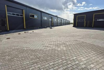 Spațiu comercial, de 600 mp, în Aurel Vlaicu - 1