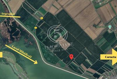 Teren intravilan, Cornetu, Ilfov – 5.590 mp - 4