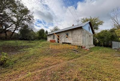 Casă cu 2 camere cu Teren 4000 Mp în Dernișoara - 10