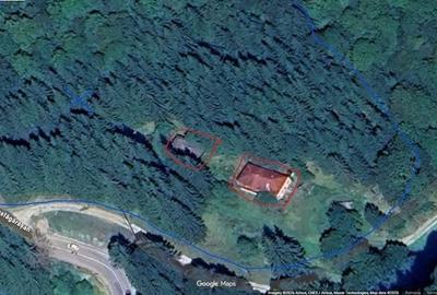 Teren de 8000 mp, în Arefu - 4