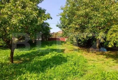 Casă cu 4 camere cu Teren 1860 Mp în Viișoara - 13