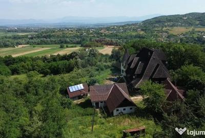 Casă cu 10 camere cu Teren 24700 Mp în Berchez - 9