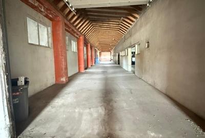 HALĂ INDUSTRIALĂ 8530 MP TEREN ȘI 3300 MP CONSTRUCȚII - 6