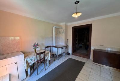 Casa de vanzare, 5 cam., 200 mp. + 5000 mp. teren, Valea Ariesului - 11