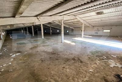 Spațiu industrial, de 6,000 mp, în Exterior Est - 2