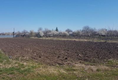 Spațiu comercial, în Plopșoru - 8