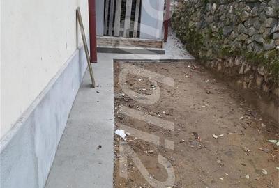 Casă cu 6 camere cu Teren 6000 Mp în Pietreni - 1