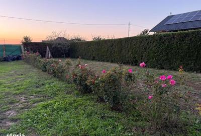 Spațiu comercial, în Vânători - 13