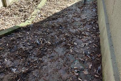 Casă individuală cu 4 camere cu Teren 510 Mp în Central - 1