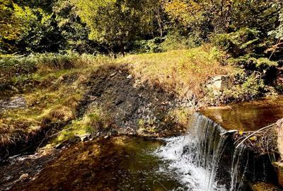 Vila Premium de Vanzare in Cheia, Prahova-Oaza de Relaxare si Investitie - 32