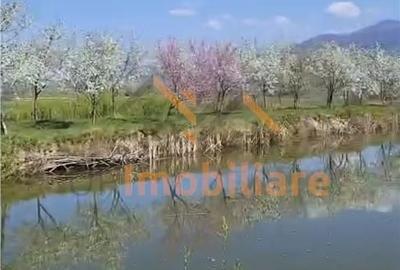 Spațiu comercial, de 100 mp, în Buntești - 4
