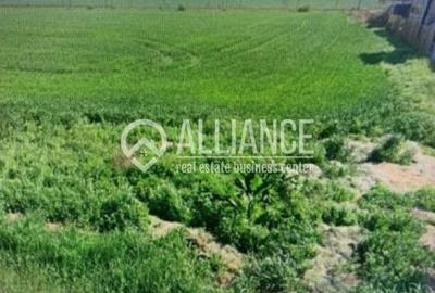 Teren Construcții intravilan de 5000 mp, în Palas - 1