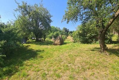 Teren de 6348 mp, în Corbeni - 4