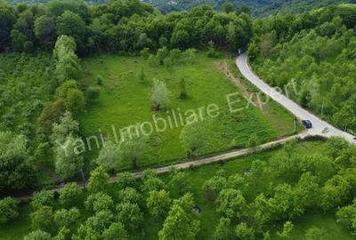 Teren de vanzare in comuna Corbi, jude? Arge?. - 2