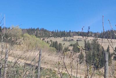 Casă cu 3 camere cu Teren 3892 Mp în Dorna Candrenilor - 2