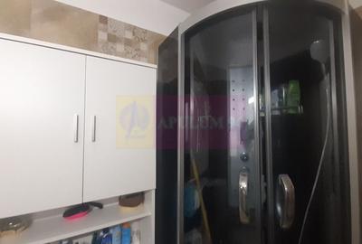 Casa perfectă în București - 46