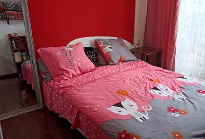 Apartament cu 3 camere semidecomandat, mobilat în Iancului - 17