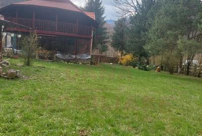 CASA DE VACAN?A 5 CAMERE,POINANA MARULUI, JUD.CARA?-... - 10