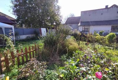 Casă cu 3 camere cu Teren 655 Mp în Central - 10