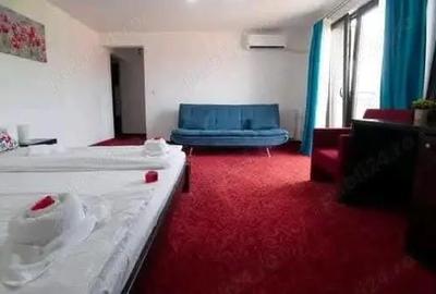 Garsonieră decomandată în Băile Felix - 3