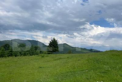 Teren de 20000 mp, în Central