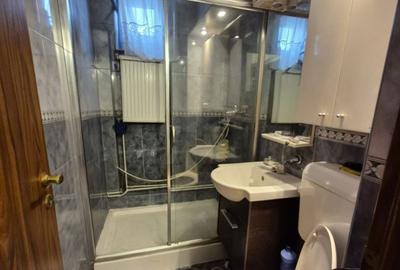 Apartament cu 2 camere decomandat în Malul Mureșului - 7