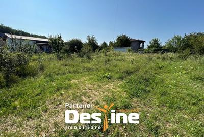 Teren Intravilan - Hlincea (Ciurea) 1000Mp - 4