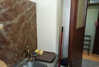 Apartament 3 camere parter Salajan - 2