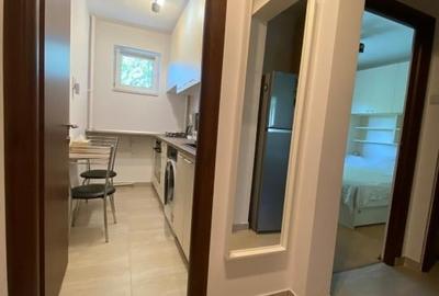 Apartament 2 camere langa Parc Drumul Taberei, renovat 2025, metrou la 2 min. - 9