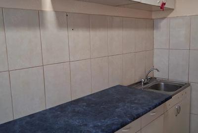 Apartament cu 2 camere decomandat în Sud - 2