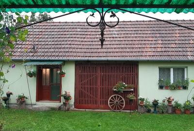 Casa de vanzare in sat Capalnas, comuna Birchis - 3