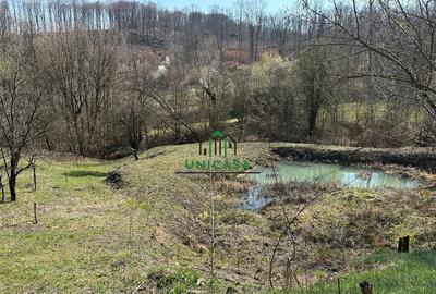 Teren de 8131 mp, în Băile Govora - 5