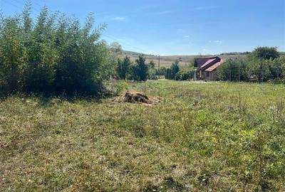 Teren Construcții intravilan de 2075 mp, în Drajna de Jos - 5