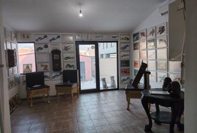 Casă individuală cu 10 camere cu Teren 650 Mp în Nicolae Grigorescu - 2