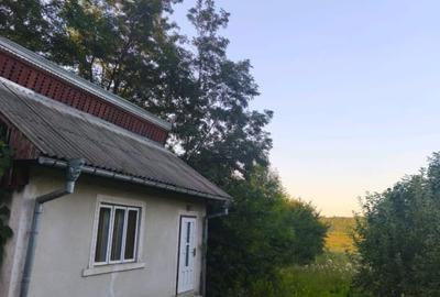 Casa individuala, 3500mp teren, zona Negostina, Siret - 2